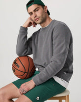 Beach Fleece Crew | Pinecone Heather