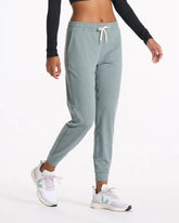 Performance Jogger - Long | Stormy Heather