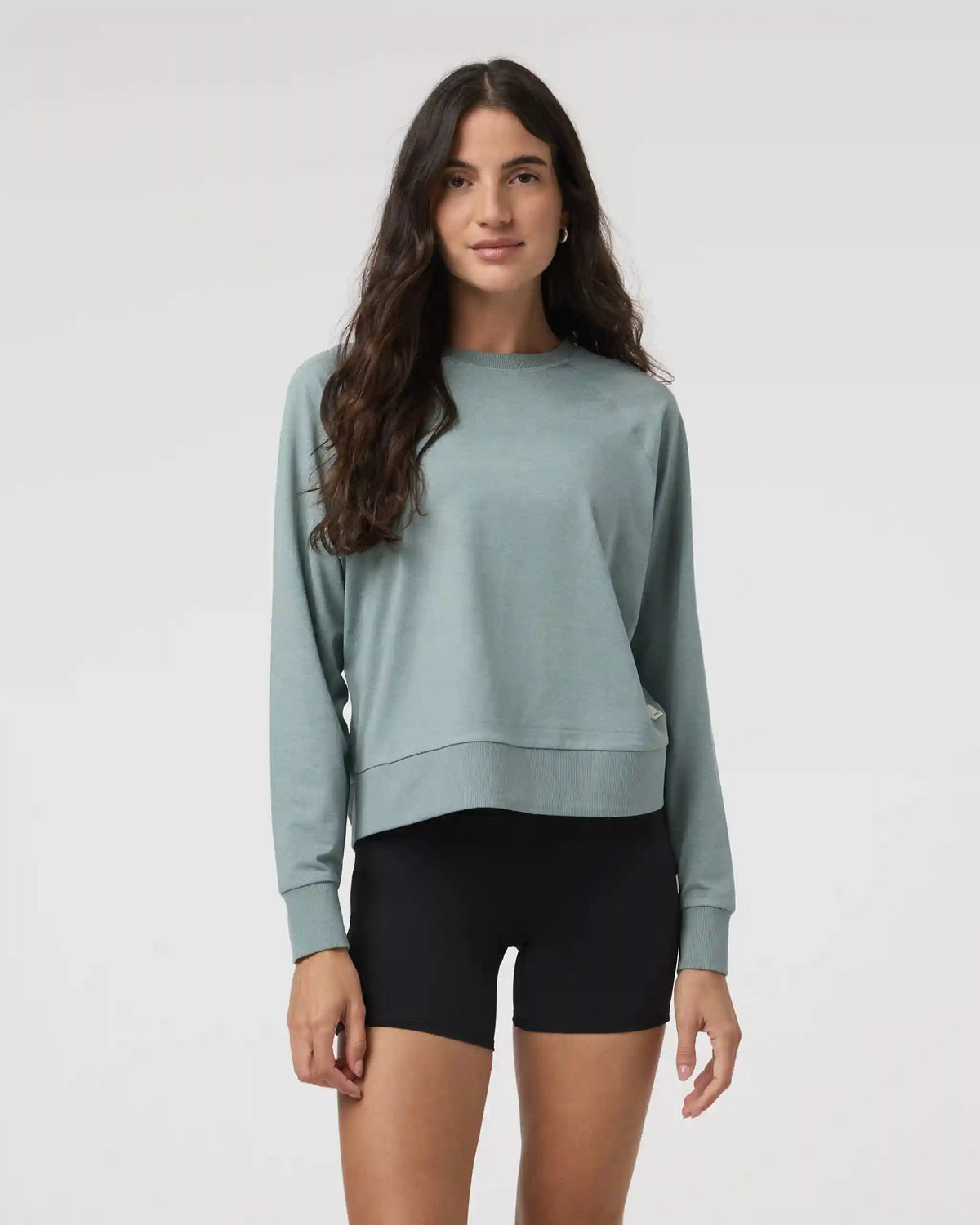 Long Sleeve Halo Crew | Vintage Pistachio Heather